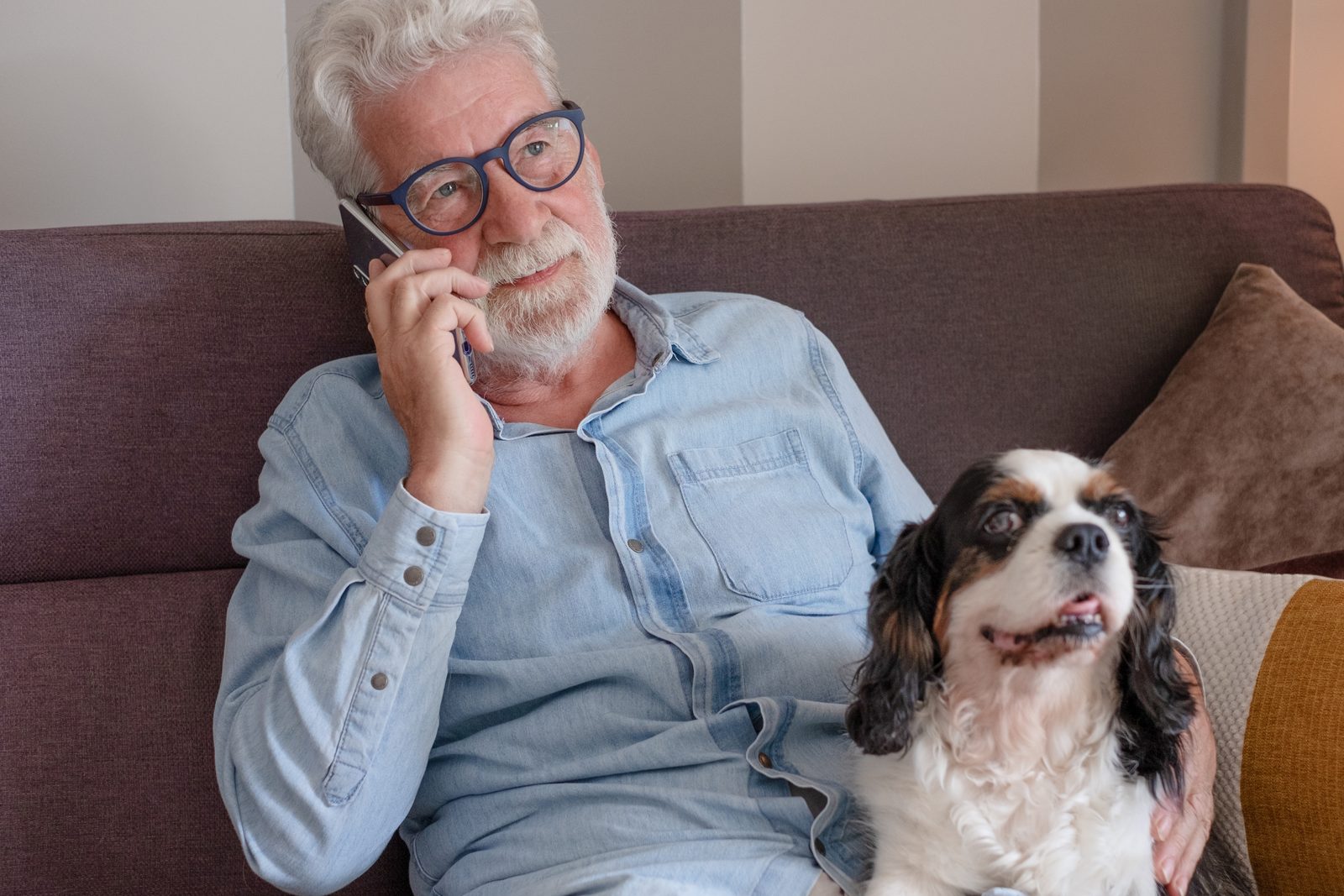 Gray-haired man in glasses and a denim shirt talks on the phone on a sofa, a tricolor Cavalier King Charles spaniel beside him