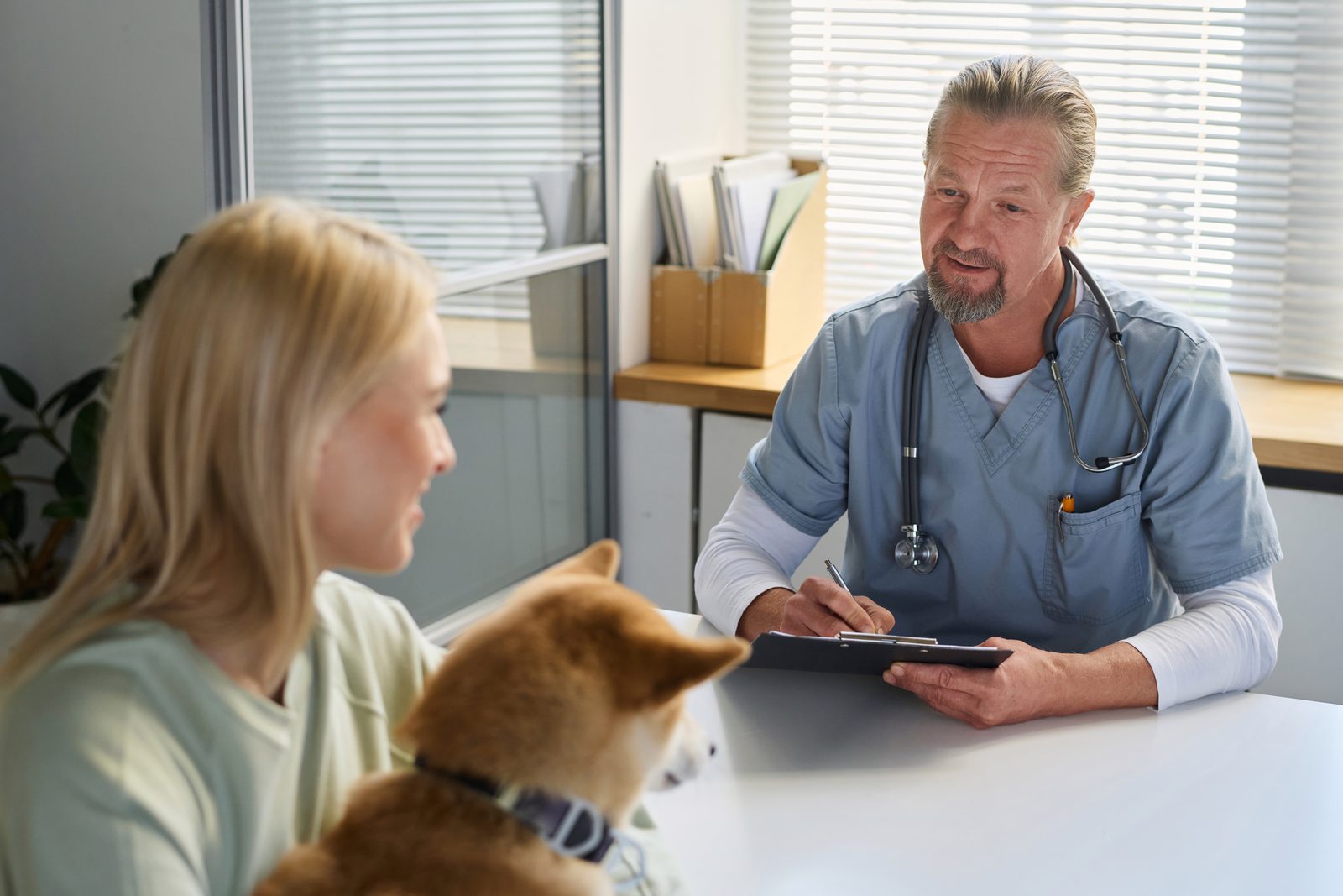 A veterinarian in blue scrubs writes on a clipboard while explaining the plan to a woman holding her Shiba Inu at a clinic desk.