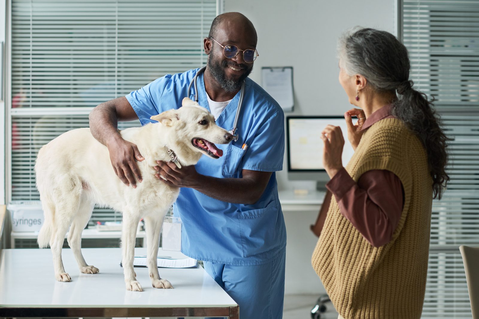 Gray-haired woman talking with her hands to a veterinarian in blue scrubs who steadies a white dog on an exam table
