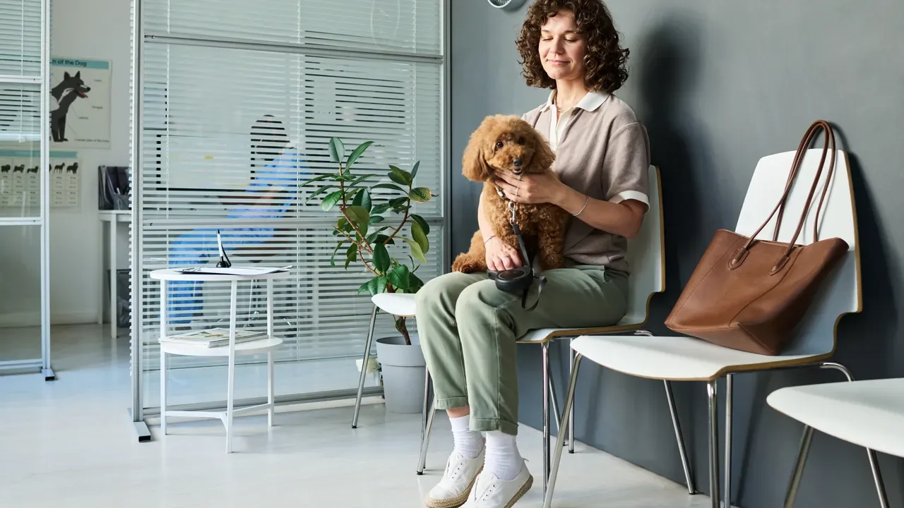 A woman holding her poodle in a clinic waiting room